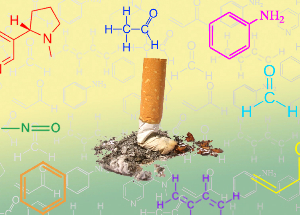 NicoZero bloques a susceptibilidade dos receptores de nicotina