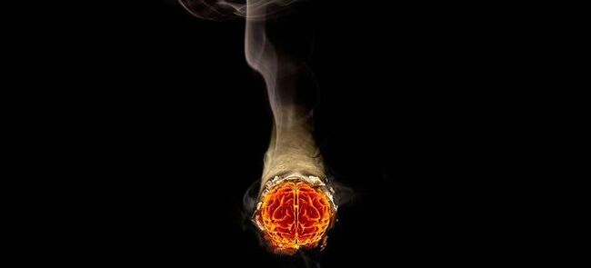 queimar cigarro e o dano da nicotina